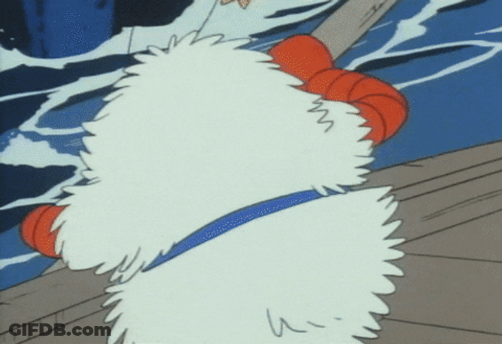 Rowing Machine Form Yeti GIF