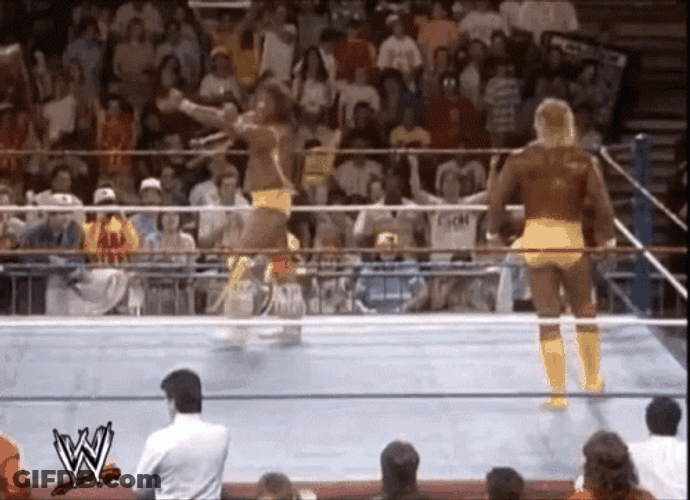 Royal Rumble 1990 GIF