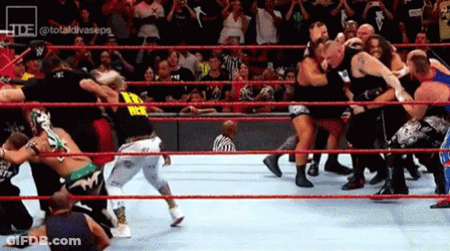 Royal Rumble Beat Up Brock Lesnar GIF