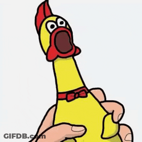 Rubber Chicken As Alarm GIF