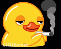 Rubber Duck Smoking Cigarette GIF