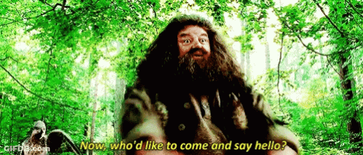 Rubeus Hagrid And Hippogriff GIF