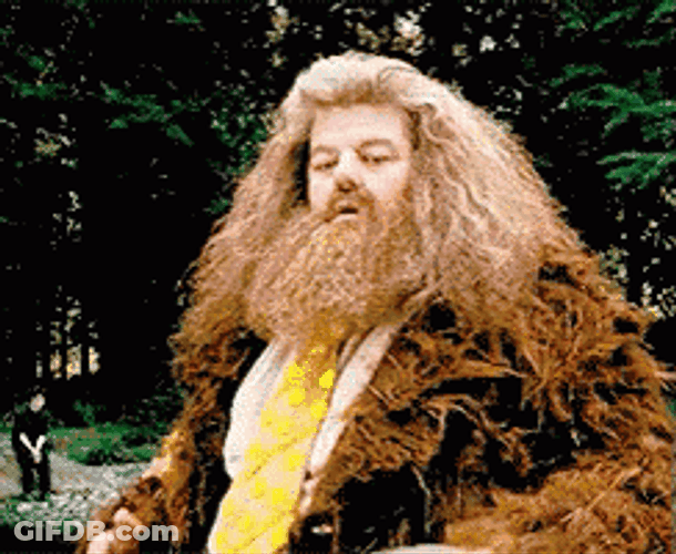 Rubeus Hagrid And Rock GIF