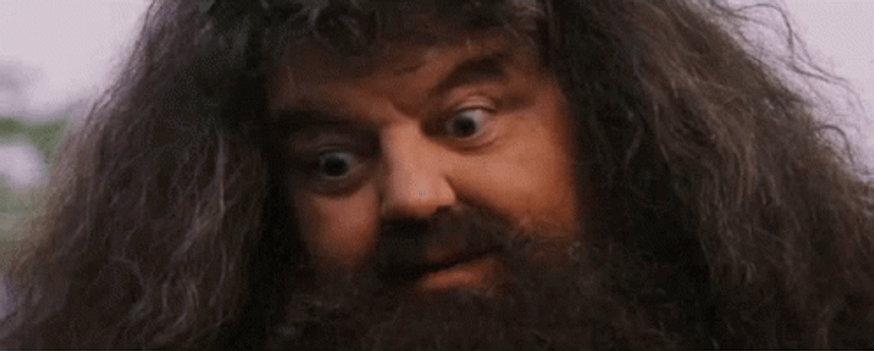 Rubeus Hagrid Blinking Eye GIF