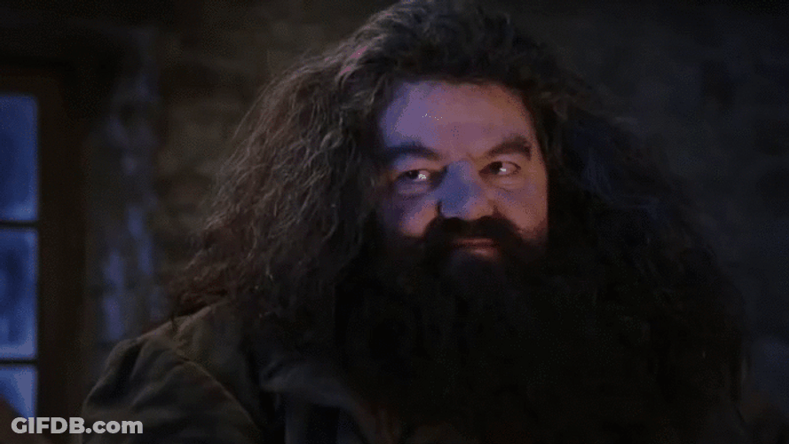 Rubeus Hagrid Doppelganger GIF