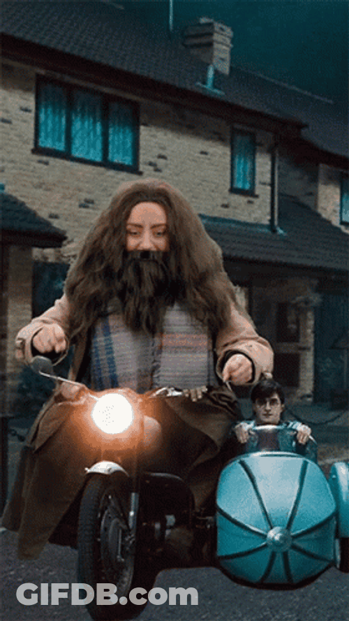 Rubeus Hagrid Driving GIF