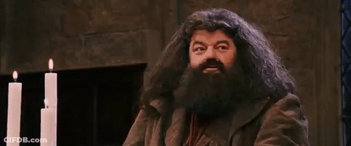 Rubeus Hagrid Happy Clapping GIF