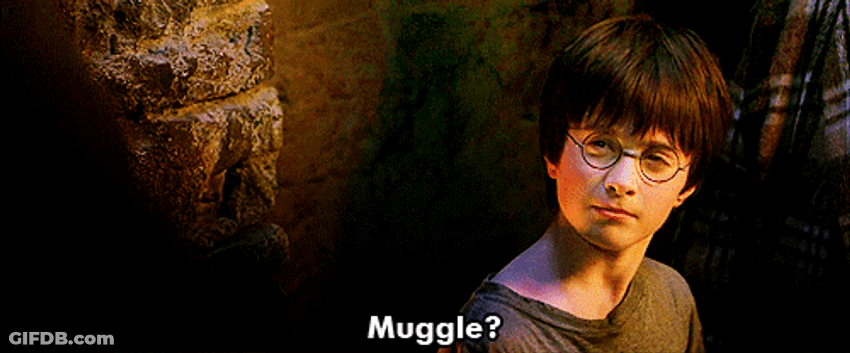 Rubeus Hagrid Muggle GIF