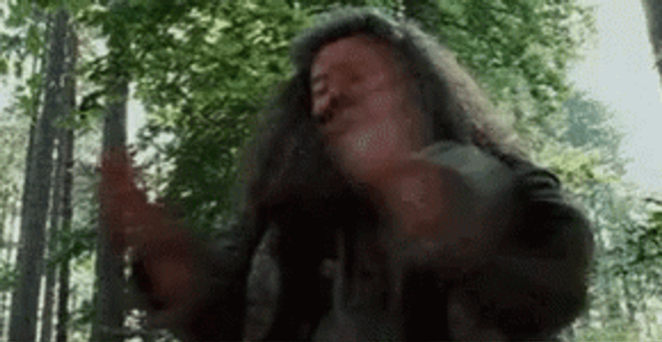 Rubeus Hagrid Proud Clap GIF