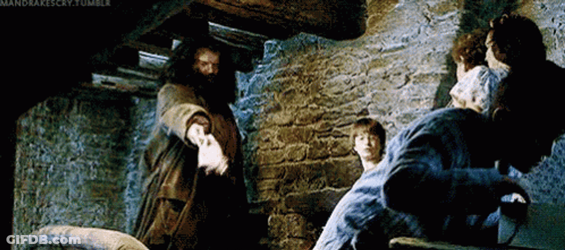 Rubeus Hagrid Punish Dudley GIF