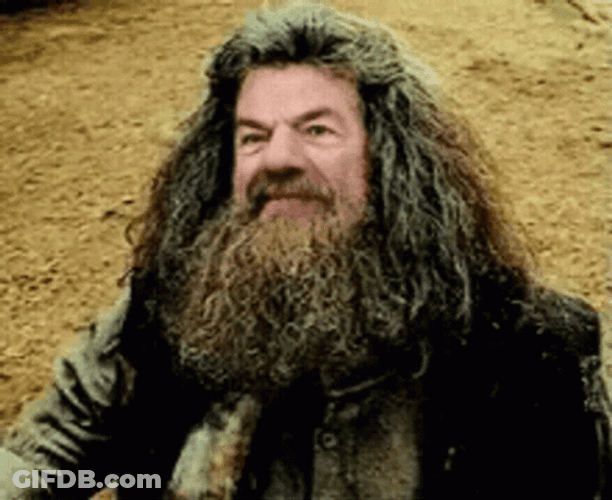 Rubeus Hagrid Watching Above GIF