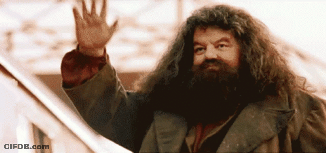 Rubeus Hagrid Waving Harry Potter GIF
