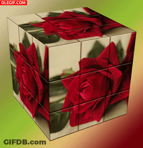 Rubik's Cube Rosas GIF
