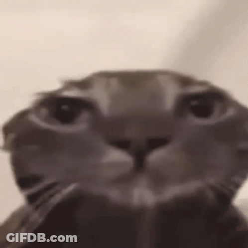 Rudy Mustang Planet Face GIF