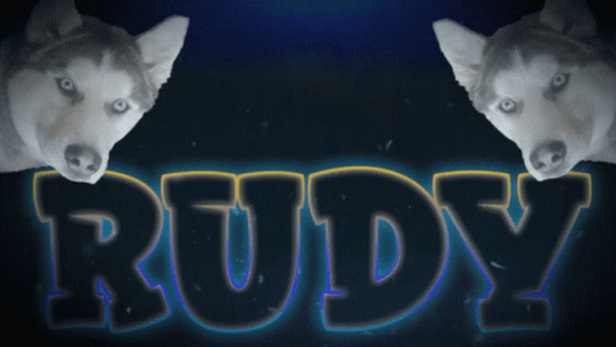Rudy Rudilives Sticker GIF