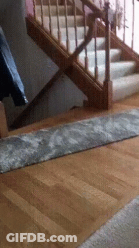 Rug In Front Of Stairs In Living Room GIF