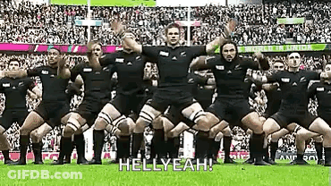 Rugby Players Performing Haka For Crowd GIF