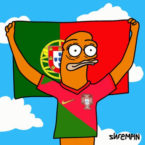 Rui Patricio Pepe Portugal Football GIF