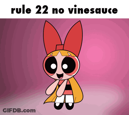 Rule 22 No Vinesauce With A Picture Of Blossom GIF