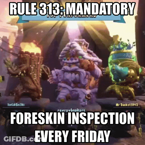 Rule 313 Foreskin Inspection Screen GIF