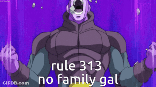 Rule 313 No Family Gal Cartoon GIF