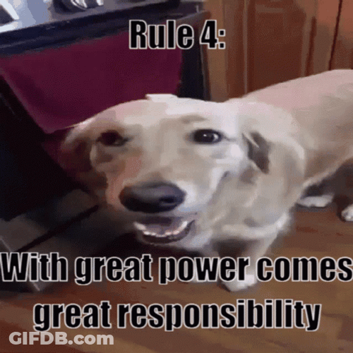 Rule 4 With Great Power Comes Great Responsibility GIF