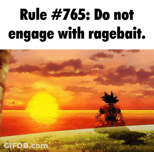Rule # 765 : Do Not Engage With Ragebait With A Sunset In The Background GIF