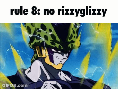 Rule 8 No Rizzyglizzy GIF