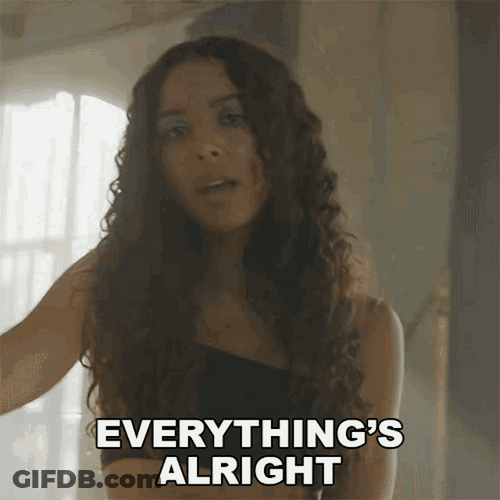 Rules By Arlissa Everything Is Fine GIF