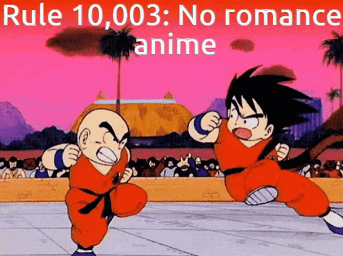 Rules Dragon Ball Rules GIF