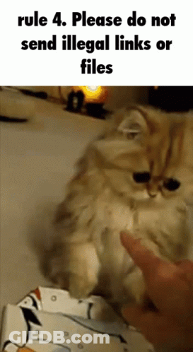 Rules Rule4 GIF