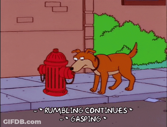 Rumbling Continues Dog Runs GIF