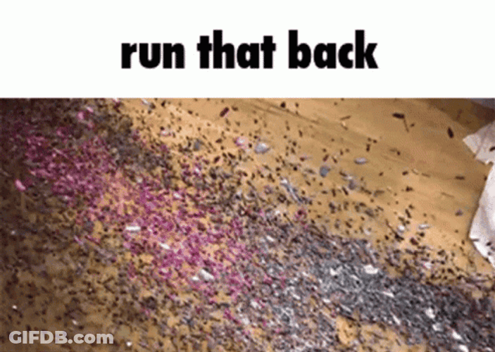 Run It Back Run That Back Run GIF