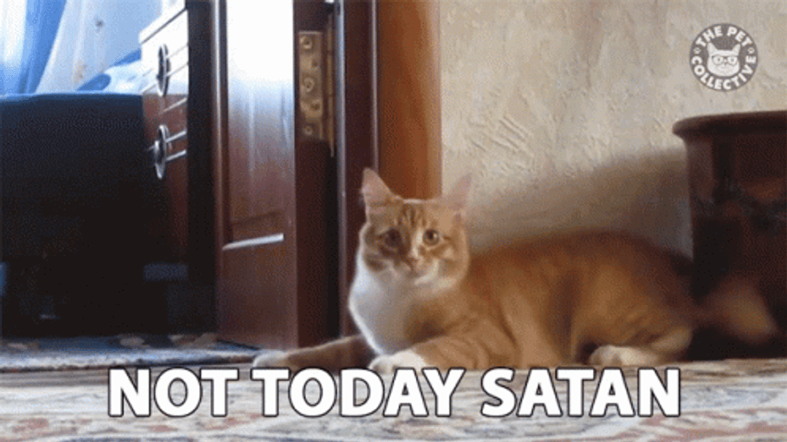 Running Away Cat Not Today Satan GIF