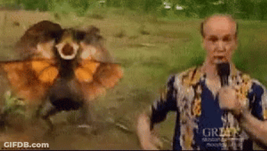 Running Away From Dilophosaurus GIF