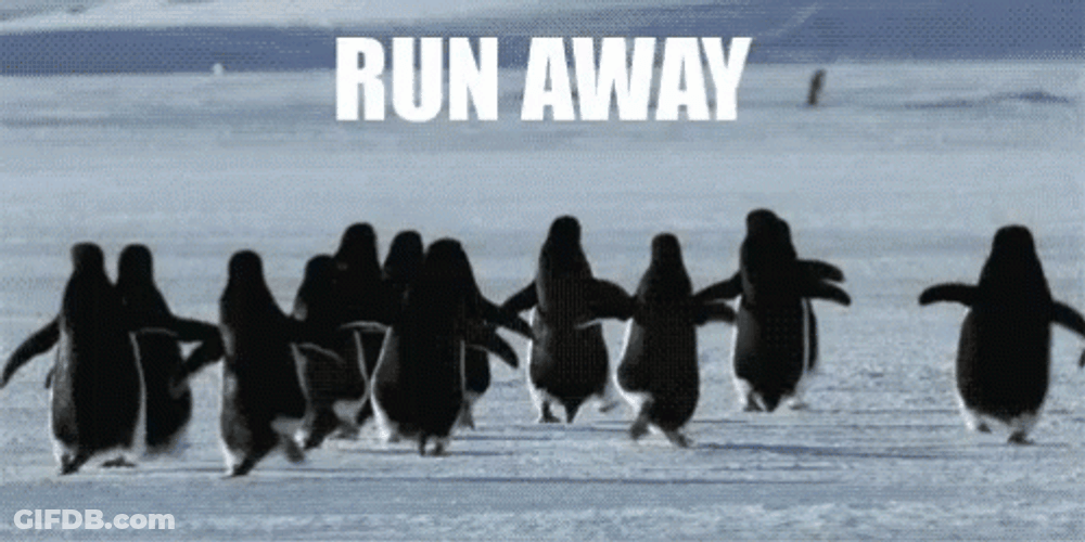 Running Away Penguins GIF