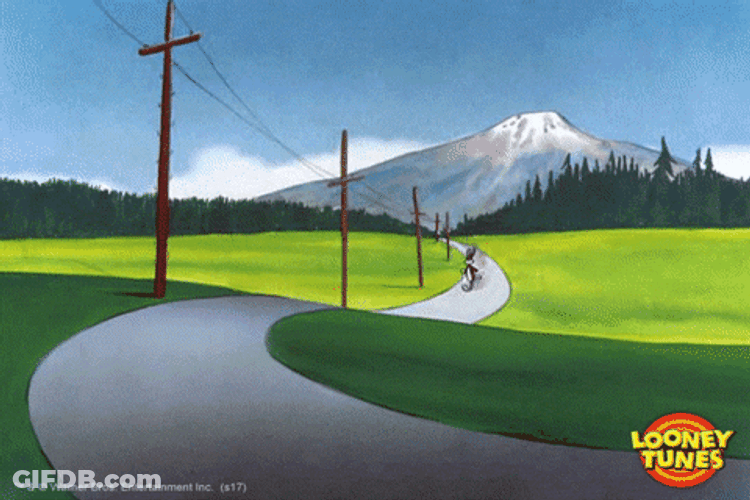 Running Bugs Bunny Florida GIF