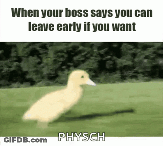 Running Duckling Leaving Work GIF