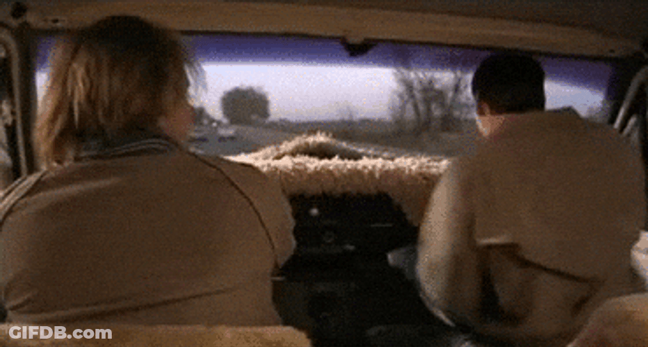 Running Dumb And Dumber In The Car Scooter GIF