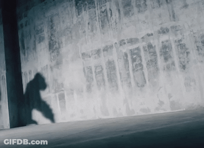 Running Gorilla Shadow GIF