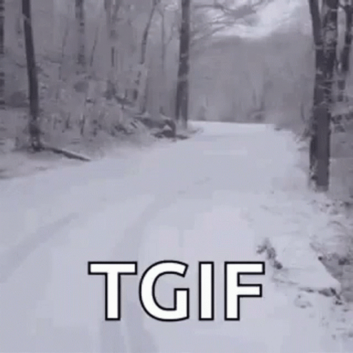 Running In The Snow Forest Tgif Meme GIF
