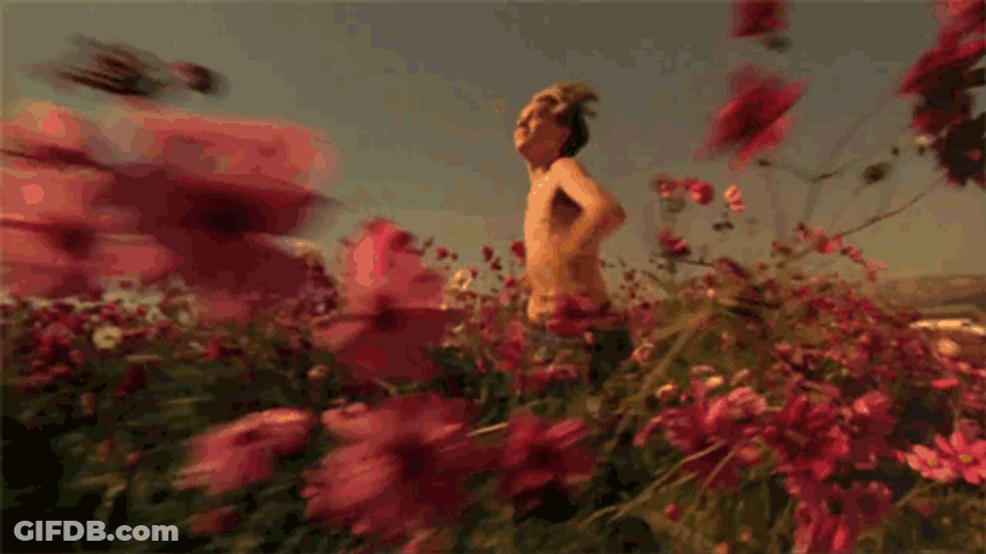 Running Leonardo DiCaprio Flower Garden GIF
