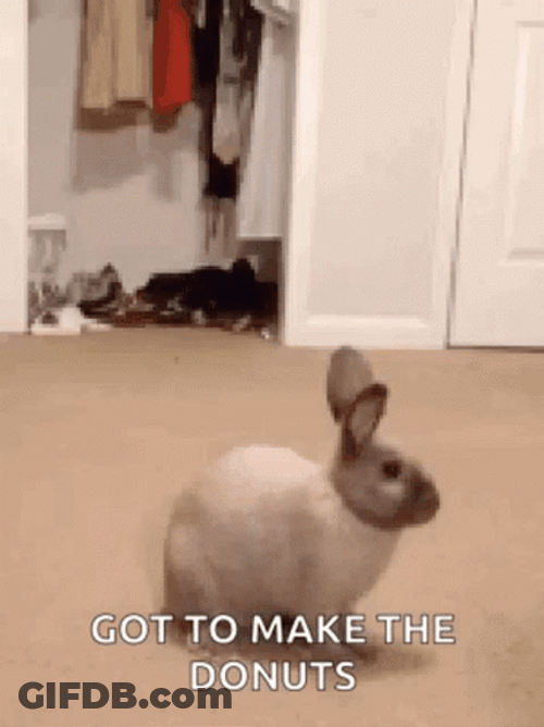 Running Rabbit Time To Make The Donuts GIF