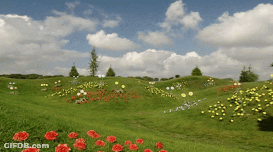 Running Teletubbies Dipsy GIF