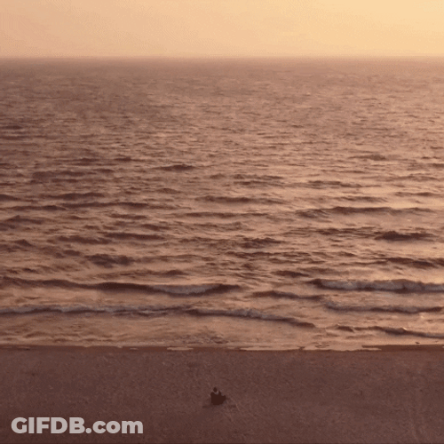 Running Through Blue Wave Shore GIF