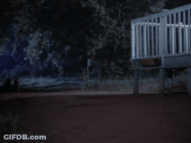 Running Wolves With Red Eyes GIF