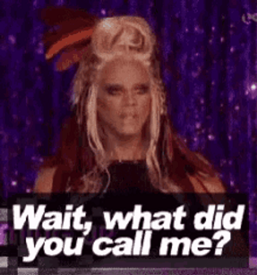 Rupaul Drag Queen What Did You Call Me GIF