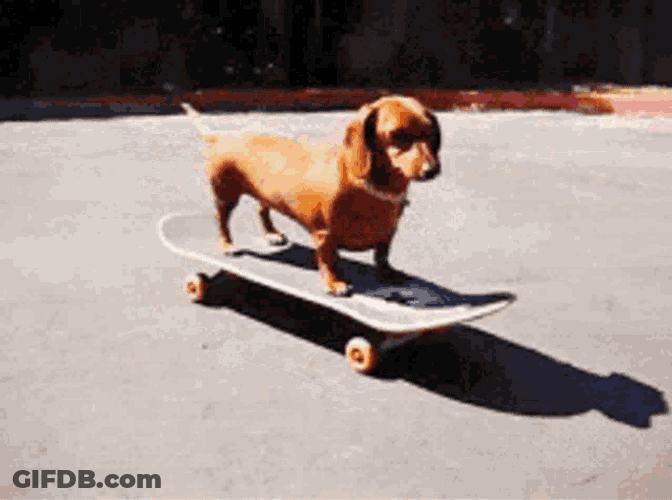 Rupert Gnar GIF