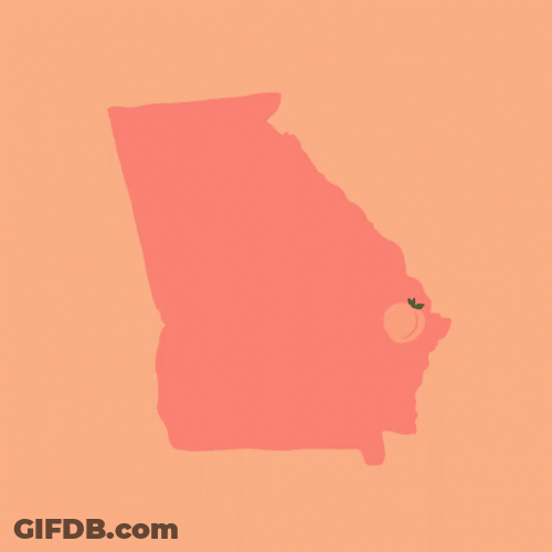 Rural Black Georgia Vote Matter GIF