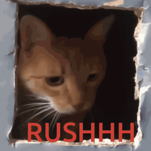 Rush Cat Exiting Door GIF